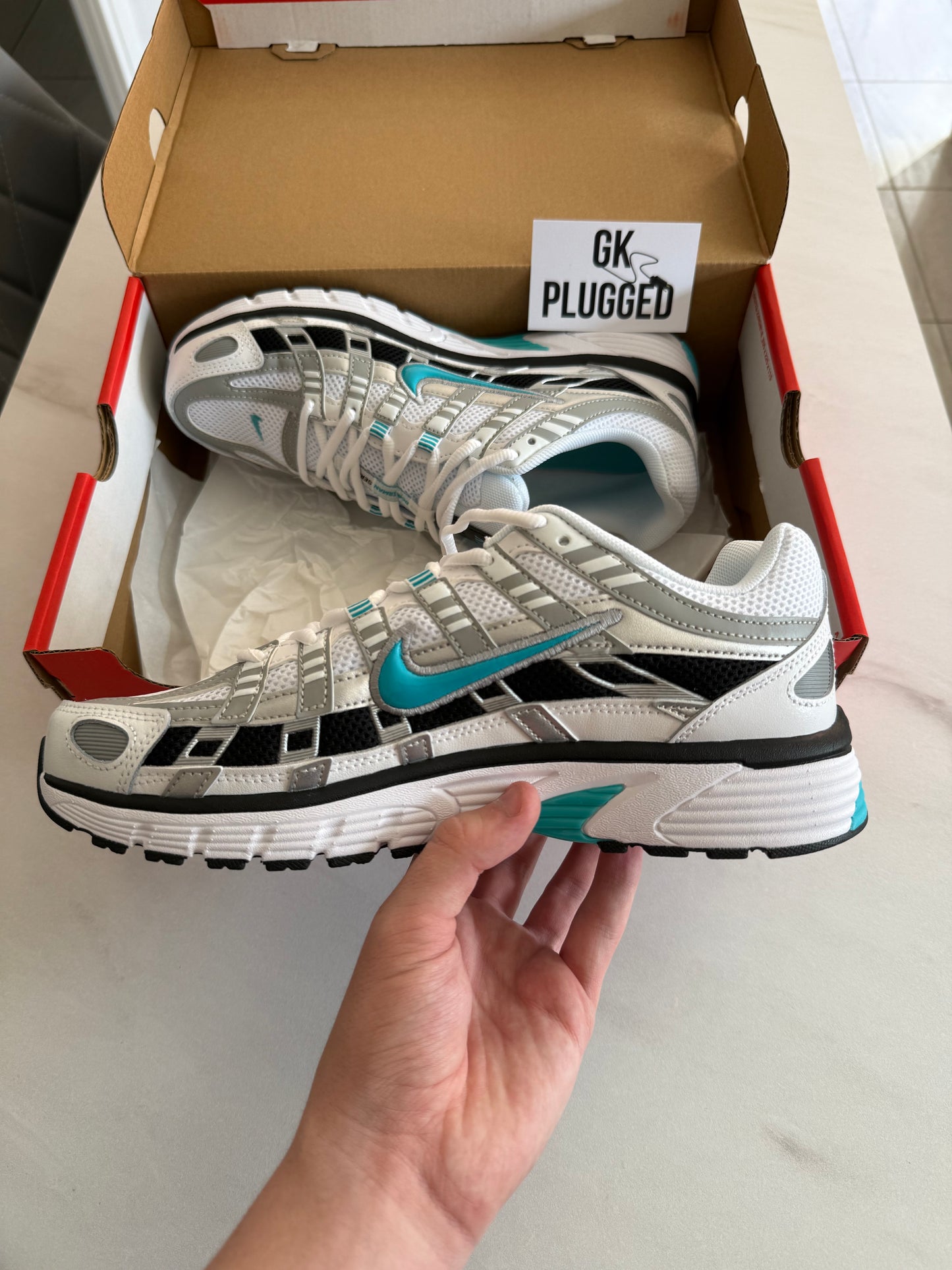 Nike P-6000 Dusty Cactus