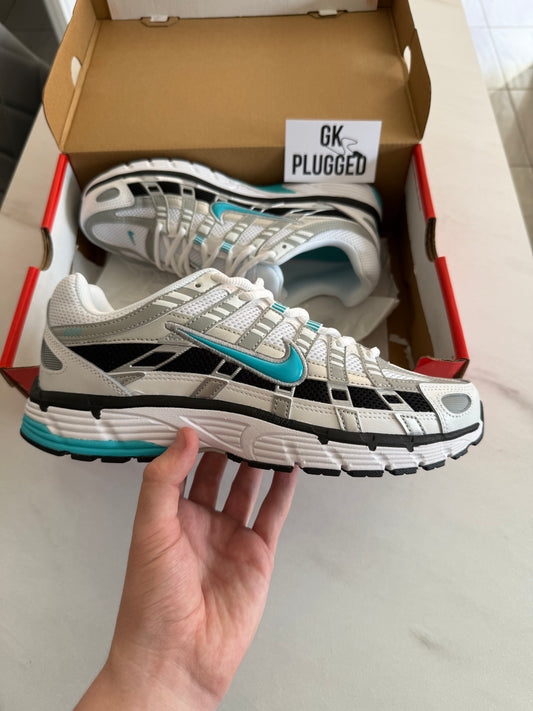 Nike P-6000 Dusty Cactus